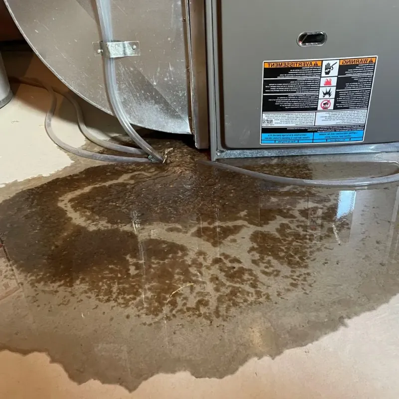 Pipe Burst and Leak Restoration in Melrose Park, IL